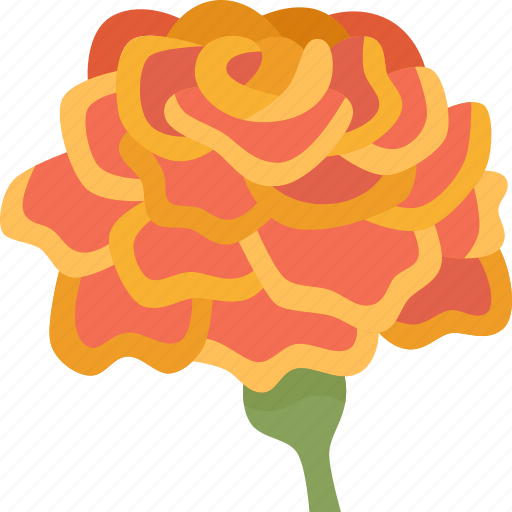 Marigold, flower, blossom, plant, botanical icon - Download on Iconfinder