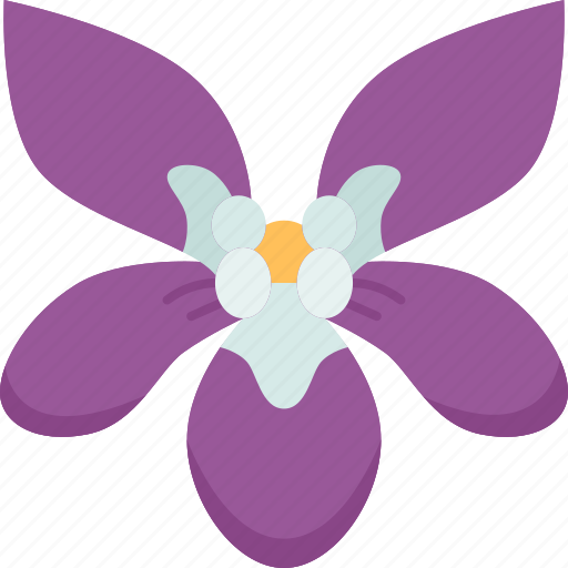 Violet, viola, flower, spring, plant icon - Download on Iconfinder