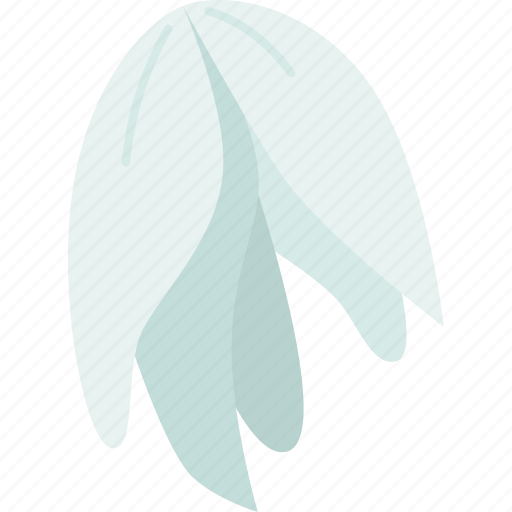Yucca, petals, plant, summer, nature icon - Download on Iconfinder