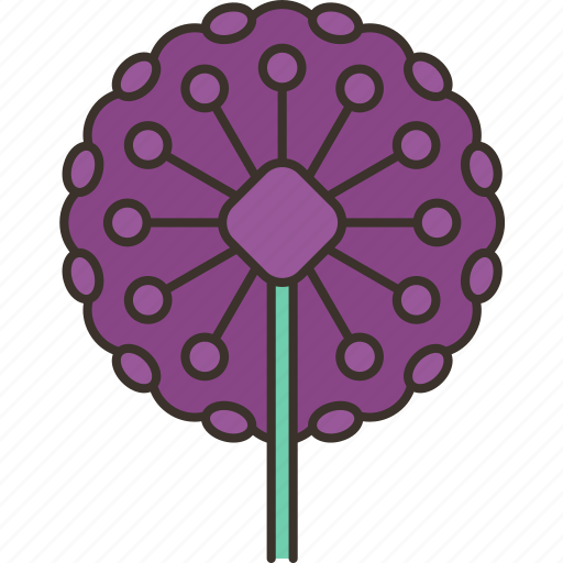 Alliums, flower, summer, horticulture, nature icon - Download on Iconfinder