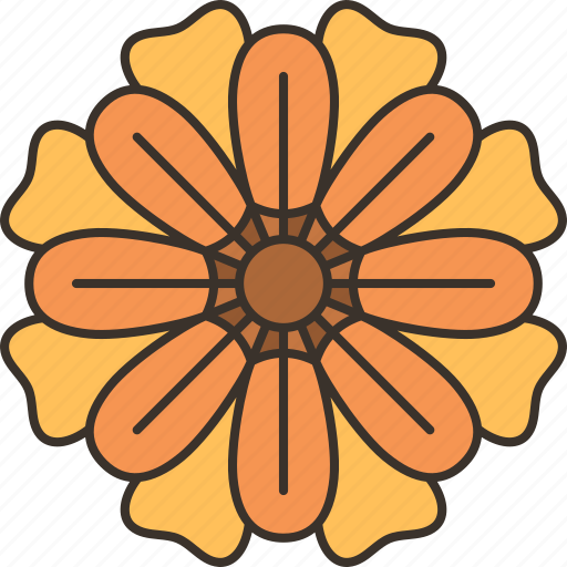 Calendula, flower, blossom, flora, plant icon - Download on Iconfinder