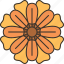 calendula, flower, blossom, flora, plant 
