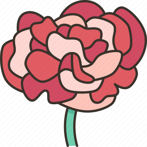 Carnations, flower, petal, blossom, beauty icon - Download on Iconfinder