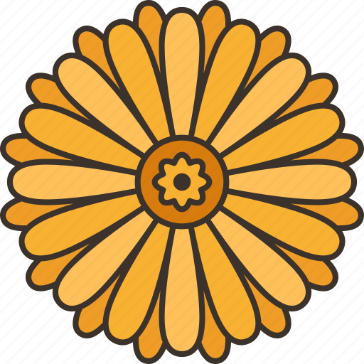 Chamomile, flower, herb, summer, nature icon - Download on Iconfinder