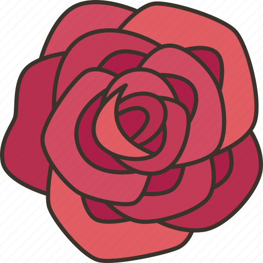 Roses, flower, garden, valentine, love icon - Download on Iconfinder