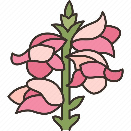 Snap, dragon, flower, garden, beauty icon - Download on Iconfinder