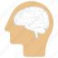 brain, head, human brain, human mind, mind 