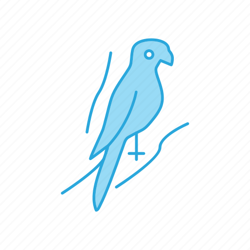 Bird, parrot, pirate icon - Download on Iconfinder