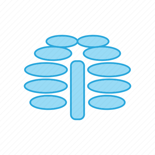 Healthcare, ribcage, ribs icon - Download on Iconfinder