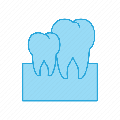 Anatomy, medical, tooth icon - Download on Iconfinder
