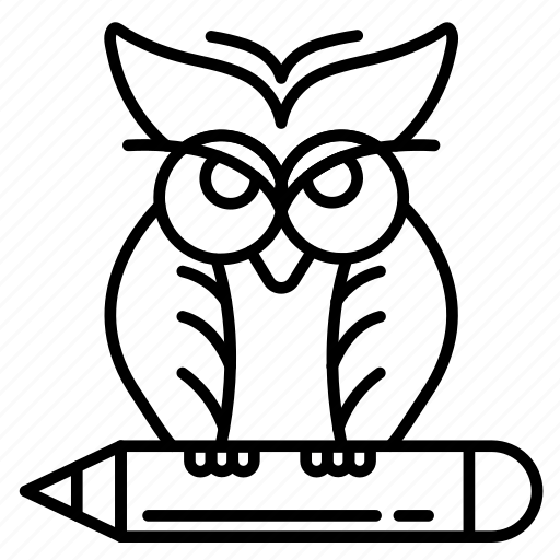 Education, knowledge, learning, owl, science, wisdom icon - Download on Iconfinder