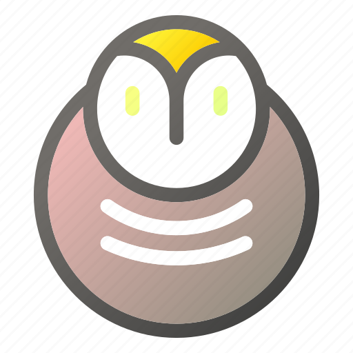 Education, learn, owl, school, study icon - Download on Iconfinder