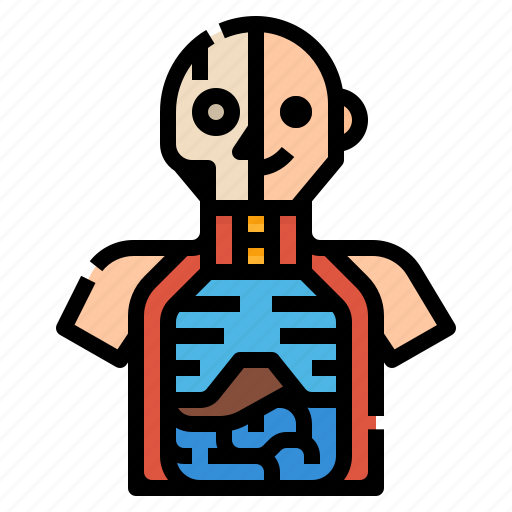 Science, model, physiology, anatomy, education icon - Download on Iconfinder
