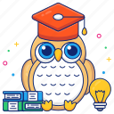 owl, wisdom, animal, night bird, education