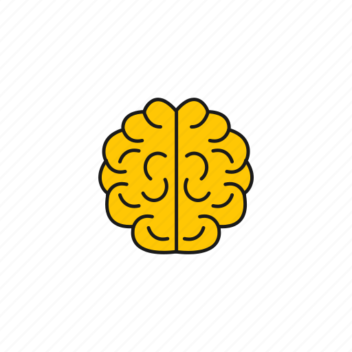 Brain, brainstorming, idea, intellect, memory, thinking icon - Download on Iconfinder