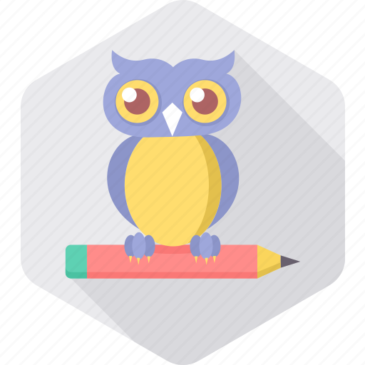 Classes, classroom, education, owl, smart classes, smartclass, teacher icon - Download on Iconfinder