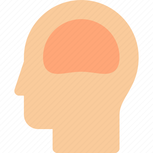 Brain, head, human, organ icon - Download on Iconfinder