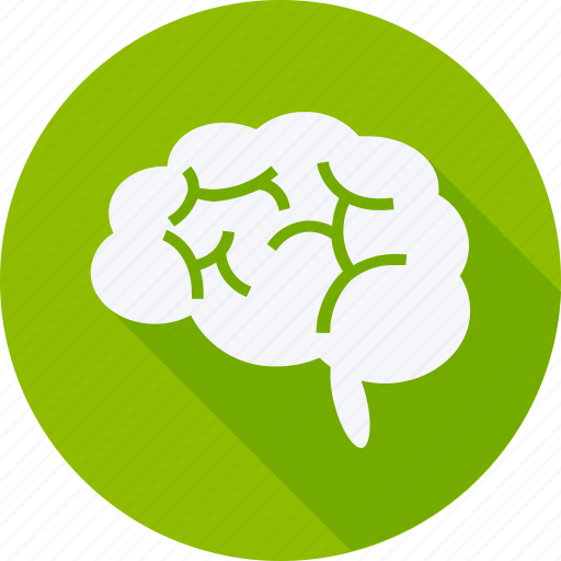 Education, reading, school, student, study, brain, knowledge icon - Download on Iconfinder