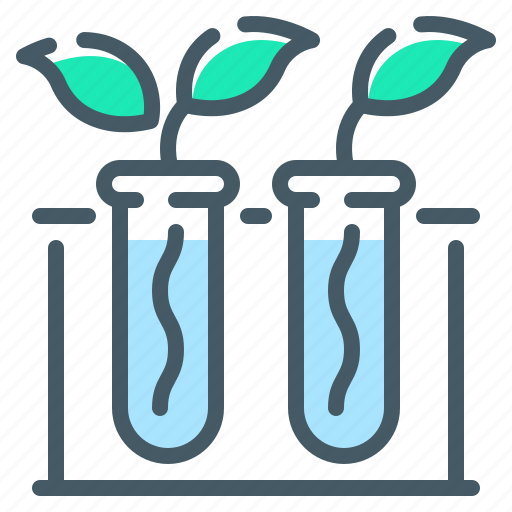 Biology, botany, experience, experiment, sprouts, test, tubes icon - Download on Iconfinder
