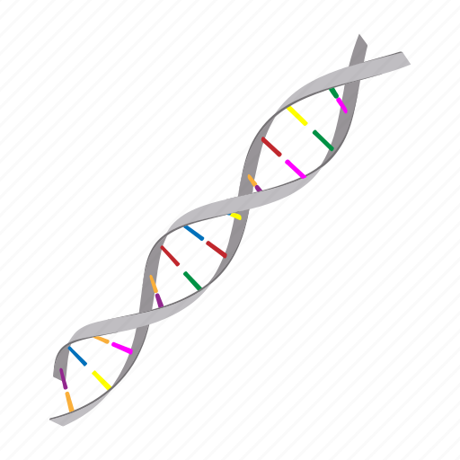 Biology, cartoon, dna, gene, genetic, medical, medicine icon - Download on Iconfinder