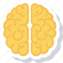 brain, learning, think icon