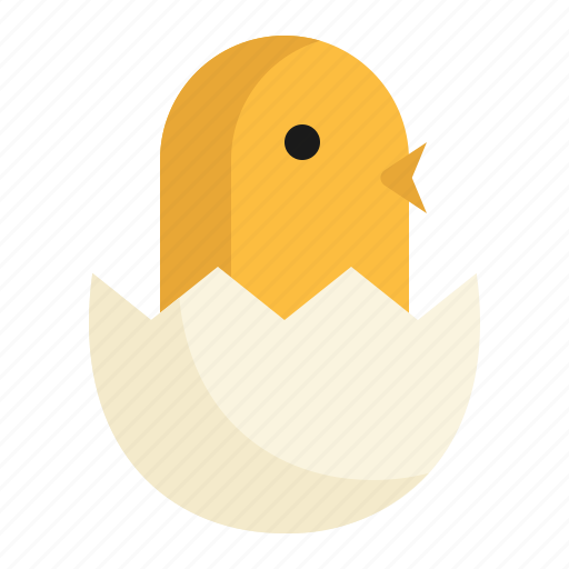 Chick, egg, hatched, nature, organic, protein icon - Download on Iconfinder