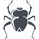 egipt, beetle, insect, pest, scarab 