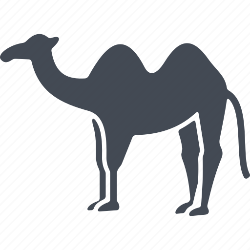 Egipt, camel, animal, hump icon - Download on Iconfinder