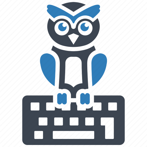 Education, keyboard, online education, owl, wisdom icon - Download on Iconfinder