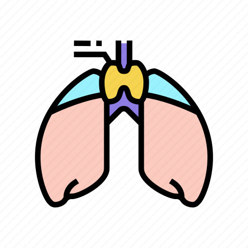 Thymus, endocrinology, medical, disease, parathyroid, pituitary icon - Download on Iconfinder