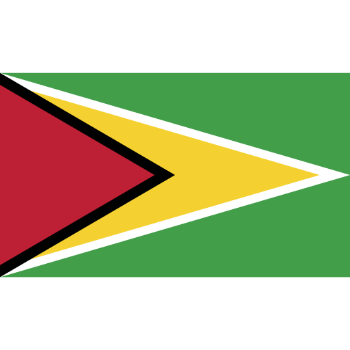 Ensign, flag, guyana, nation icon - Free download