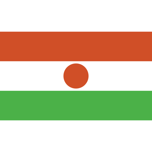 Ensign, flag, nation, niger icon - Free download