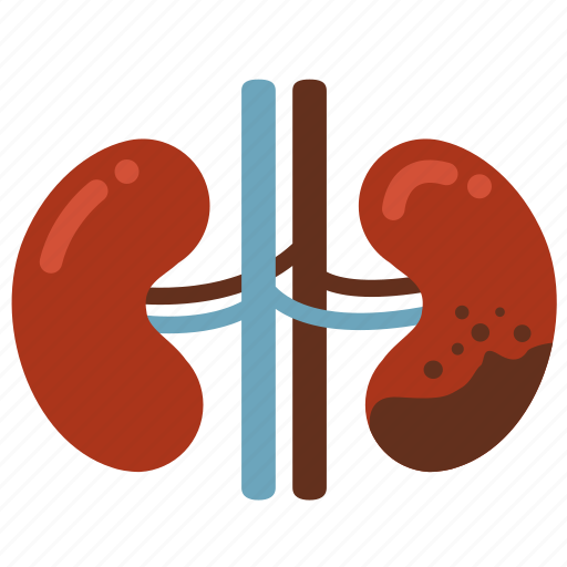 Cancer, disease, infection, kidney, kidney failure, ill icon - Download on Iconfinder