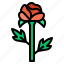 blossom, flower, plant, rose, vegetation 