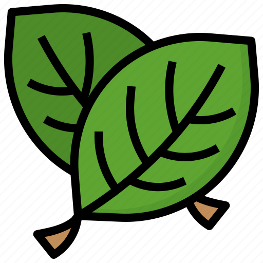 Leaves, leaf, plant, nature, garden, botanical icon - Download on Iconfinder