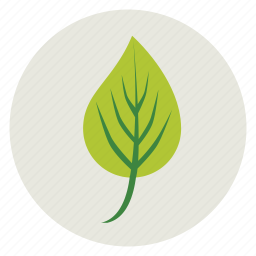 Ecology, green, leaf, nature, plant, tree icon - Download on Iconfinder