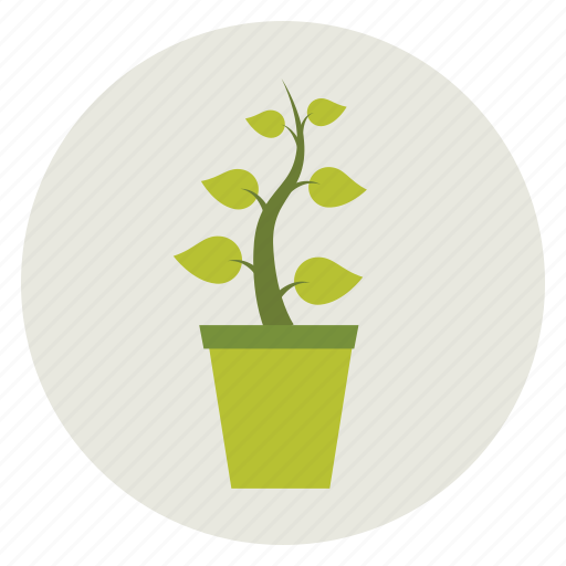 Ecology, green, nature, plant, pot, potted plant icon - Download on Iconfinder