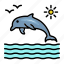 animal, aquatic, dolphin, friendly, sea 