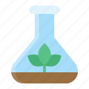 environment, flask, plant, research, test tube, tree