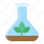 environment, flask, plant, research, test tube, tree 