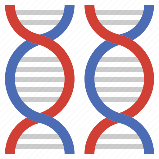 Dna, biology, structure, science, ecology, environment, genetical icon - Download on Iconfinder