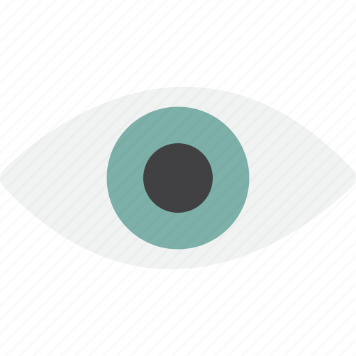 Eye, view icon - Download on Iconfinder on Iconfinder