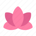 yoga, flower, lotus, blossom, meditation
