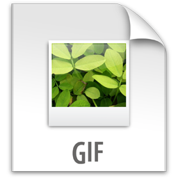 File, gif, z icon - Free download on Iconfinder