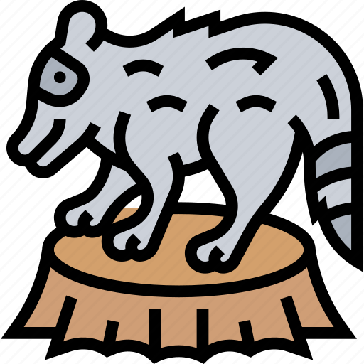 Raccoons, fauna, animal, furry, nature icon - Download on Iconfinder