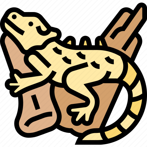 Bearded, dragons, pet, lizard, wildlife icon - Download on Iconfinder
