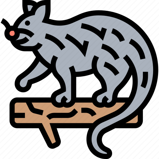 Binturong, civet, animal, wild, exotic icon - Download on Iconfinder