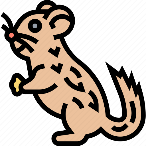 Chinchillas, pet, rodent, animal, fur icon - Download on Iconfinder