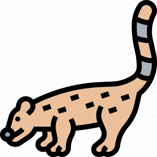 Coati, animal, fauna, mammal, wildlife icon - Download on Iconfinder