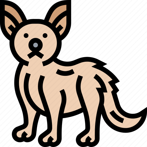 Fox, fennec, predator, wildlife, africa icon - Download on Iconfinder